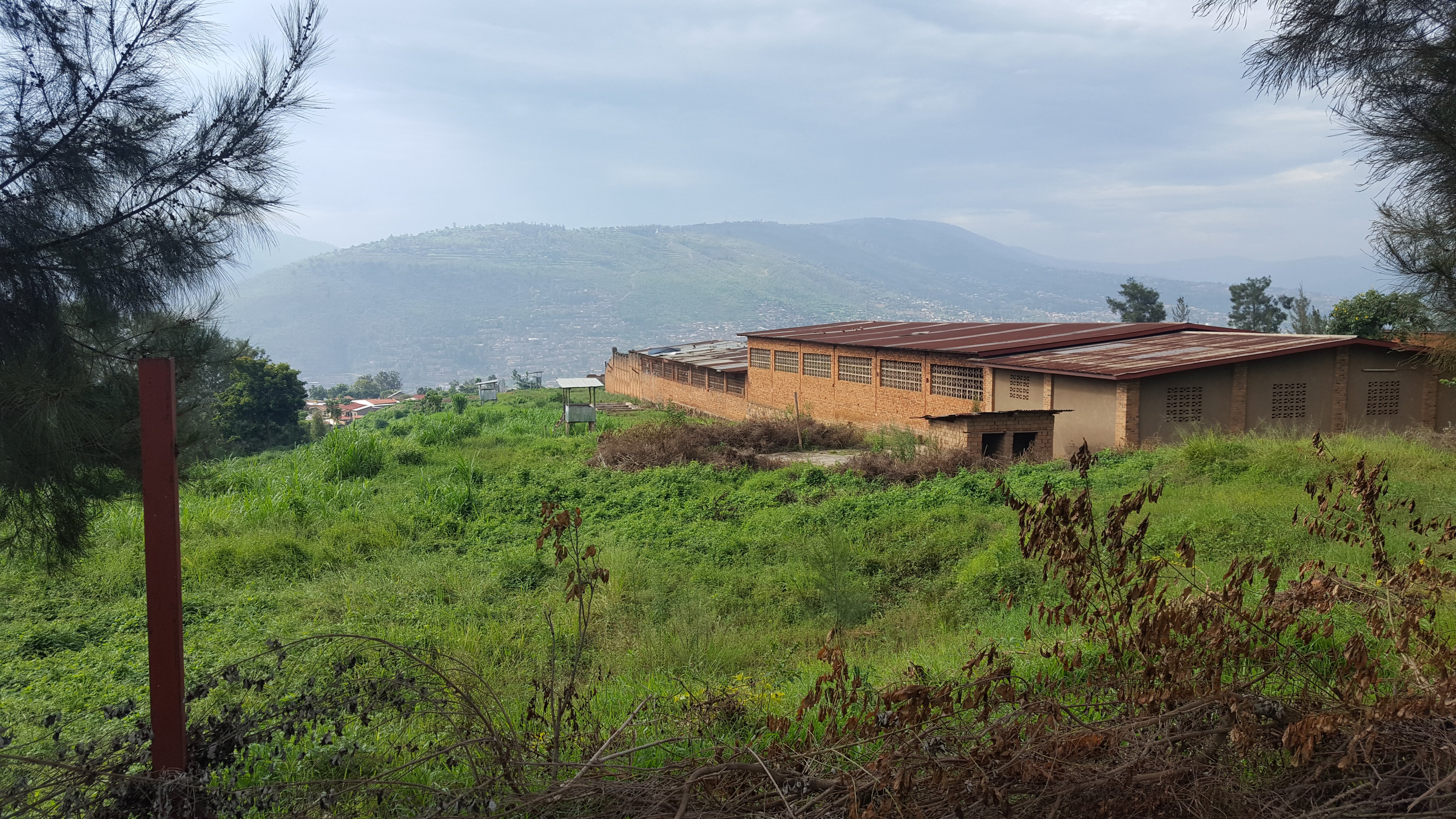 An institutional building in a rural East African highland landscape, representing international educational collaboration